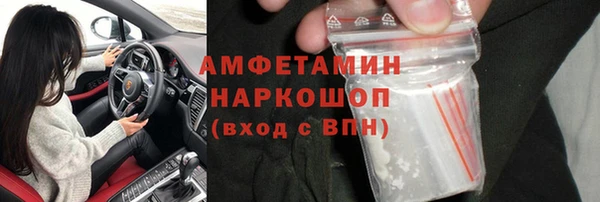 сатива Пересвет