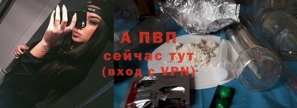 сатива Пересвет