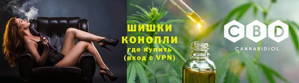 шишки Осинники