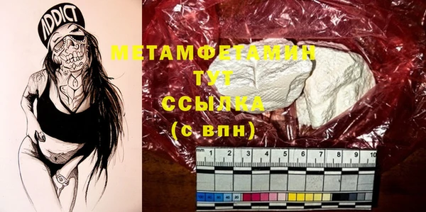 шишки Осинники