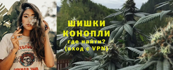 шишки Осинники