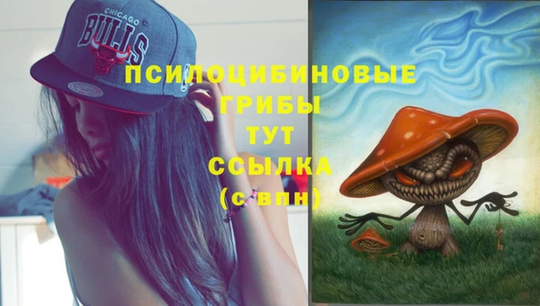 шишки Осинники