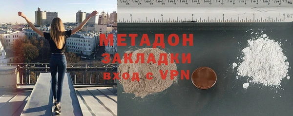 шишки Осинники