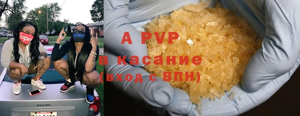 шишки Осинники