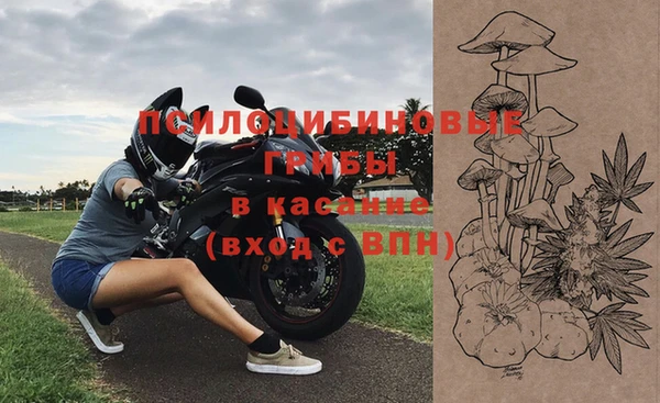 сатива Пересвет