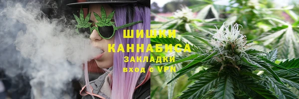 сатива Пересвет