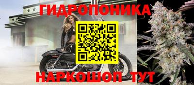гашишное масло Кандалакша
