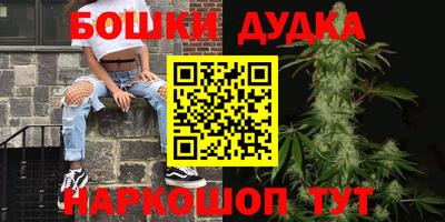 прущие грибы Балашиха