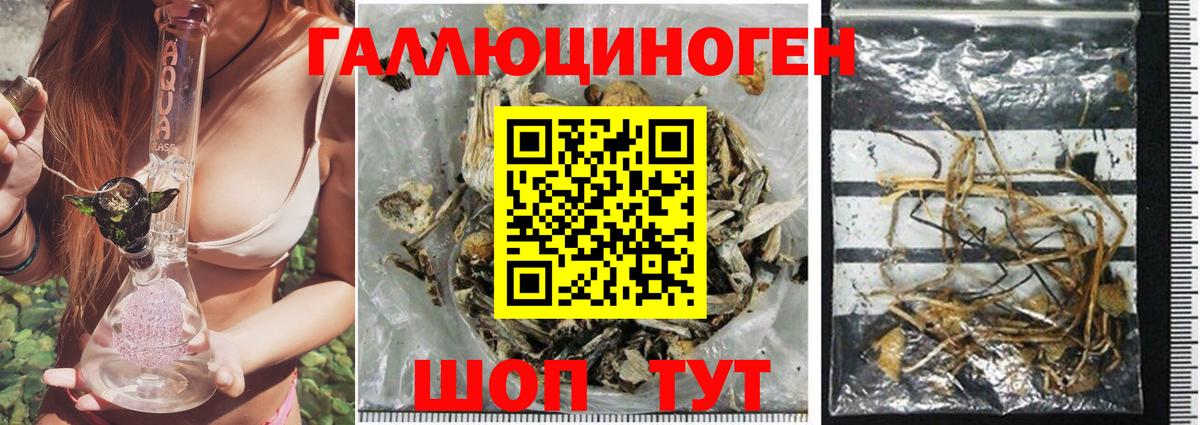 Псилоцибиновые грибы мухоморы Котлас
