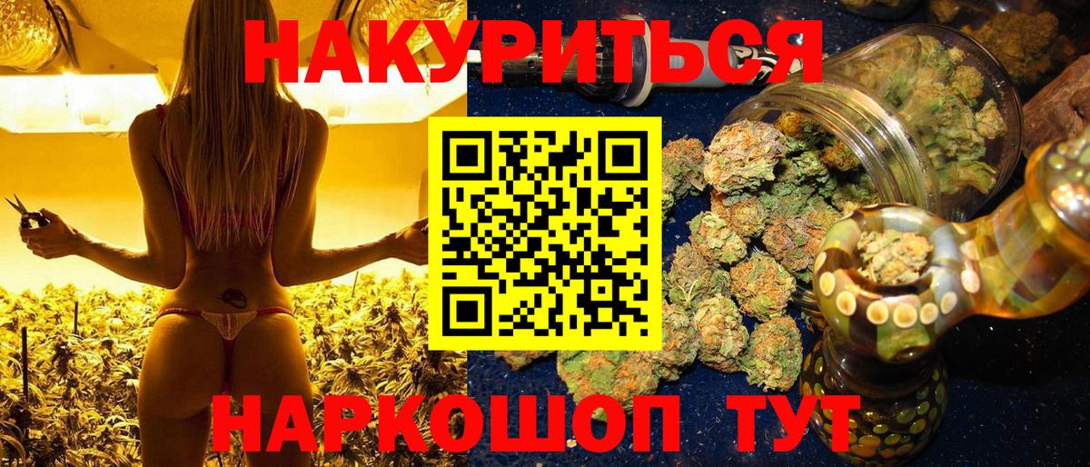 Каннабис сатива  Конопля LSD WEED  Канабис конопля  Котлас 
